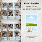 Blue Winnie the Pooh Year Photo, Milestone Baby's 1st Year Month Photos
